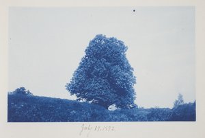 Ohne Titel, 19. Juli von Frederick K. Coulson
