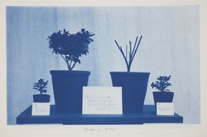 Ohne Titel, 1. März von Frederick K. Coulson