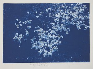 Ohne Titel, 25. Mai