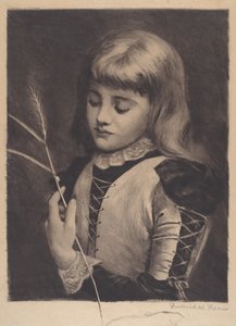 Marienkäfer