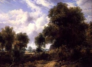 Waldlandschaft