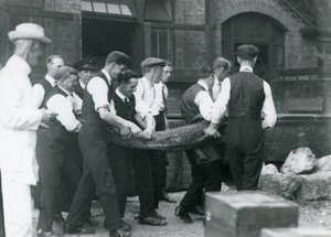 Ein Team von Männern trägt einen Alligator, überwacht von Sir Peter Chalmers Mitchell, Londoner Zoo, 1924