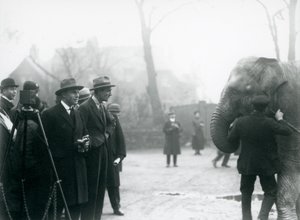 Ein indischer Elefant, möglicherweise Sundermalah, nimmt an einer Außenübertragung aus dem London Zoo teil, 1925 von Frederick William Bond