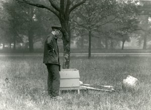 Wärter Brown bewegt einen Schwarm Honigbienen, Londoner Zoo, Juli 1926 von Frederick William Bond
