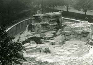 Affenhügel, gesehen von der Spitze der Mappin Terrassen, Londoner Zoo von Frederick William Bond