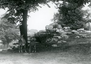 Das Eland-Antilopen-Gehege im Londoner Zoo im Jahr 1924 von Frederick William Bond