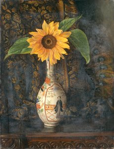 Eine Sonnenblume
