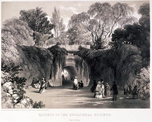 Zoologische Gärten, Regent