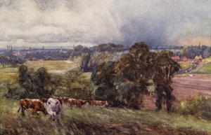 Leamington und Warwick von den Campion Hills von Frederick William Newton Whitehead