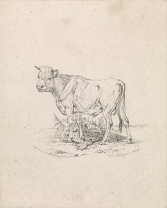 Stier von Frederik Lodewijk Huygens