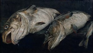 Kabeljau
