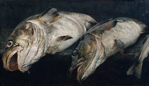 Kabeljau von Fredrik Kolstoe
