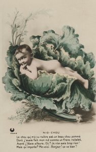 Baby in einem Kohlkopf