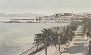 Cannes, Hafen und Altstadt, Boulevard de la Croisette