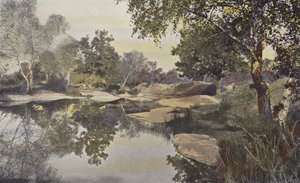 Fontainebleau, Wald, Teich von Franchard