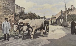 Saulieu, Ein Gespann im Morvan