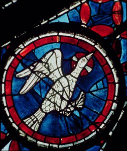 Eine Taube (Detail) von French School