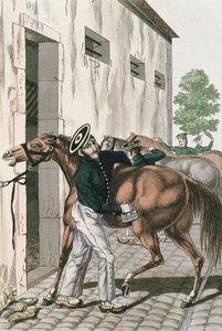 Ein Dragoner pflegt sein Pferd, Platte 257 aus einer Serie französischer kaiserlicher Soldaten, um 1800-10 von French School