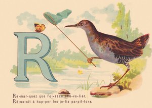 A: Beachten Sie, dass der Rittervogel, Erfolg, die hübschen Schmetterlinge zu fangen
