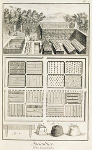 Ein Gemüsegarten, aus der Enzyklopädie der Wissenschaft, Kunst und Technik von Denis Diderot (1713-84), ca. 1770