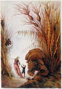 Eine Frau und ein Junge gehen durch die Unterwasserwelt - in „Reise zum Meeresgrund“ von H. de la Blanchère. Paris, ed. Jouvet et Cie, sd. 1880 von French School