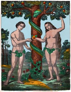 Adam und Eva (Gravur, ca. 1880)
