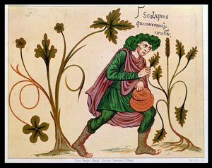 Aesculapius entdeckt Betonie, Faksimile eines Manuskripts von Antonius Musa von French School