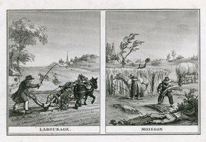 Landwirtschaftliche Szenen des Pflügens und Erntens von French School