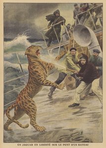 Ein entkommener Jaguar auf einem Schiff