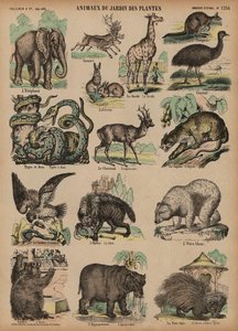 Tiere des Jardin des Plantes, Paris, Frankreich (Farbstich) von French School