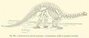 Tiere der Jura-Periode, der Brontosaurus