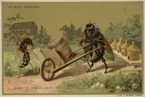 Au Bon Marché-Karten mit anthropomorphen Insekten