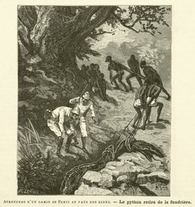 Abenteuer eines Pariser Jungen im Land der Löwen von French School