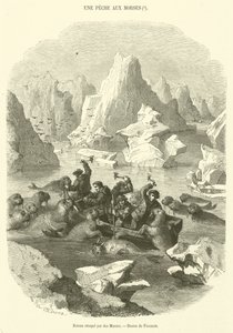 Boot von Walrossen angegriffen von French School