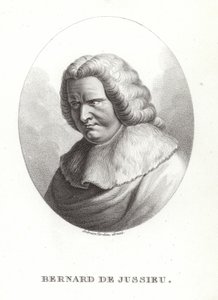 Bernard de Jussieu von French School