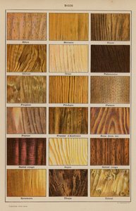 Holz (Farblithografie)