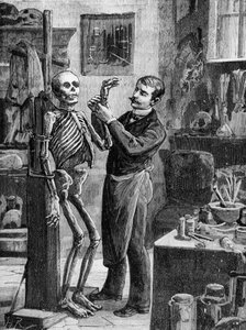 Fall Gouffé: Die imaginäre Rekonstruktion der Leiche Gouffé durch Dr. Lacassagne - in „La Malle Sanglante“, ed. A. Fayard, Paris, n.d. - Paris, B.H.V.P.D.