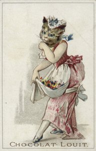 Katze im Kleid