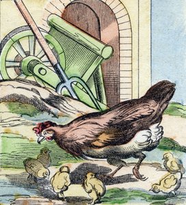 Huhn und Küken. Gravur in "Buffon Alphabet des Oiseaux n 2" von French School