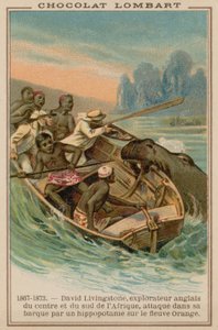 David Livingstones Boot wird von einem Nilpferd am Oranje-Fluss, Afrika, 1867-1873 angegriffen von French School