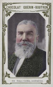 Denys Cochin, Akademiker