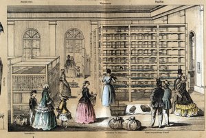 Beschreibung der Kultur und Seidenprodukte: in der Mitte die Magnanerie mit den verschiedenen Stadien der Seidenraupenzucht. Tafel „Die Seide“ in „les Recreations instructives“ Synoptisches Gemälde von Jules Delbruck, Gravur von 1860. Private Sammlung von French School