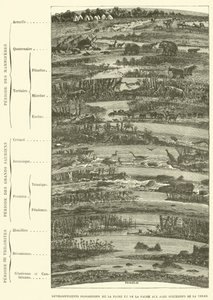 Fortschreitende Entwicklungen der Flora und Fauna in den aufeinanderfolgenden Erdzeitaltern von French School