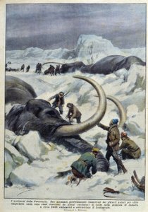 Entdeckung prähistorischer Mammuts im Polareis, Anfang 20. Jahrhundert