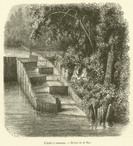 Lachsleiter von French School