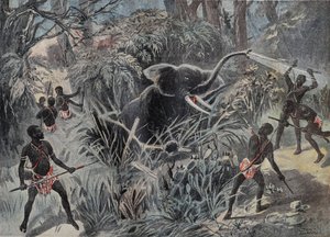 Elefantenjagd in Afrika. Der Elefant fällt in eine Grube, bevor er mit Pfeilen erledigt wird. Gravur in „Le Pelerin“ 22.01.1899.