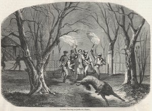 Flucht eines Wolfes im Jardin des Plantes in Paris - Gravur in „Tableau-de-Paris“ von Edmond Texier 1852