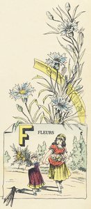 F: Blumen