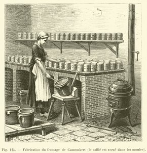 Herstellung von Camembert-Käse, die Quarkmasse wird in die Formen gegossen