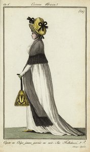 Modische Frau auf den Champs-Elysees